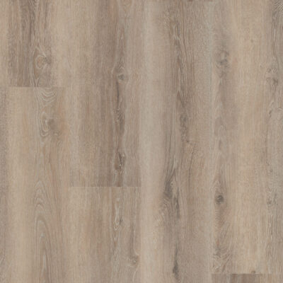 Hebeta 54817 Progress collectie