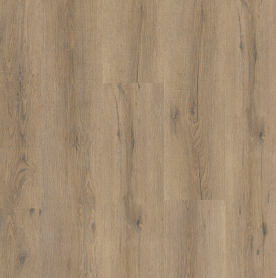 City Dryback 4600 Smoked Oak Light