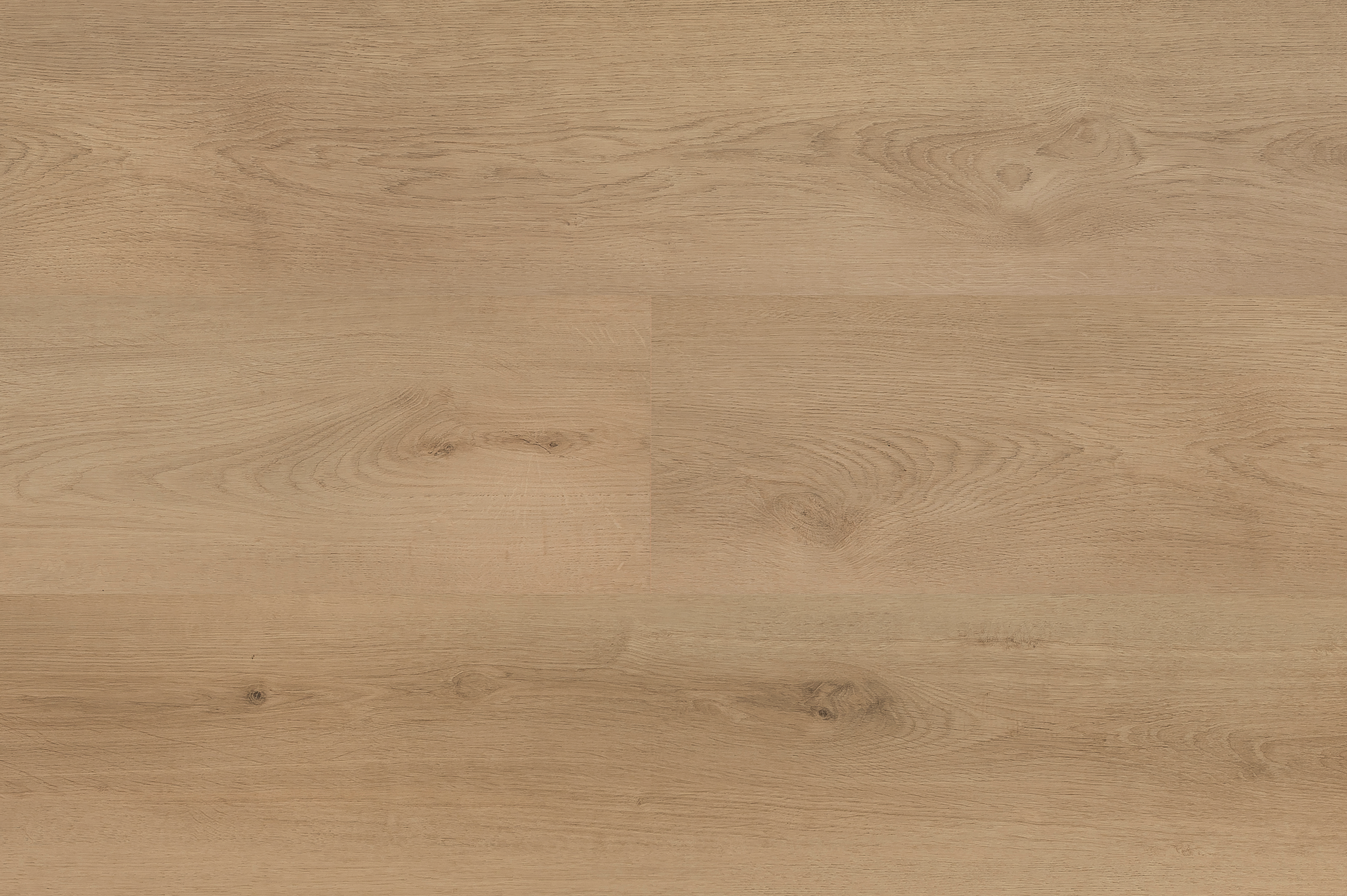 Hebeta 54821 Clermont collectie