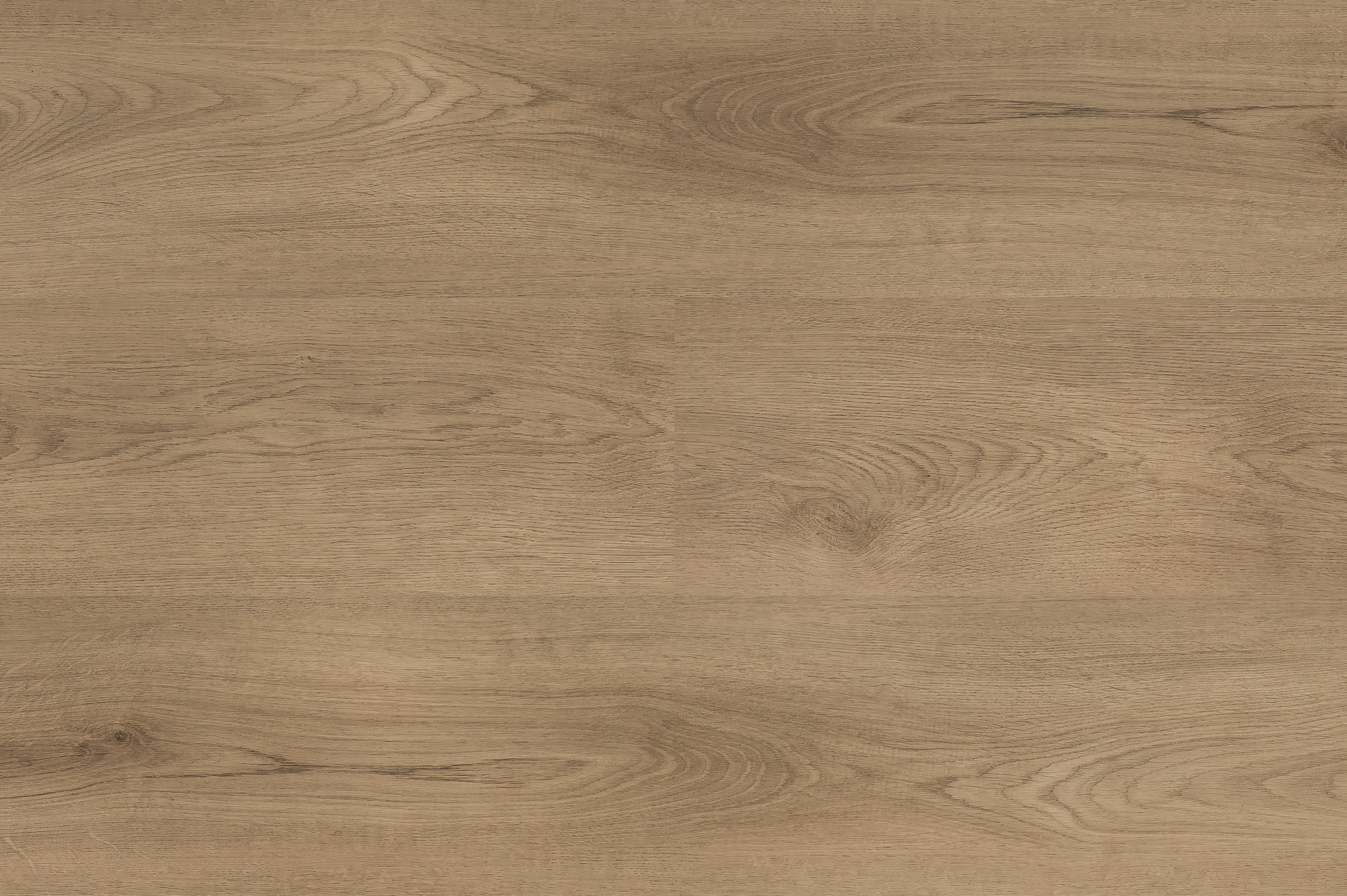 Hebeta 54822 Clermont collectie