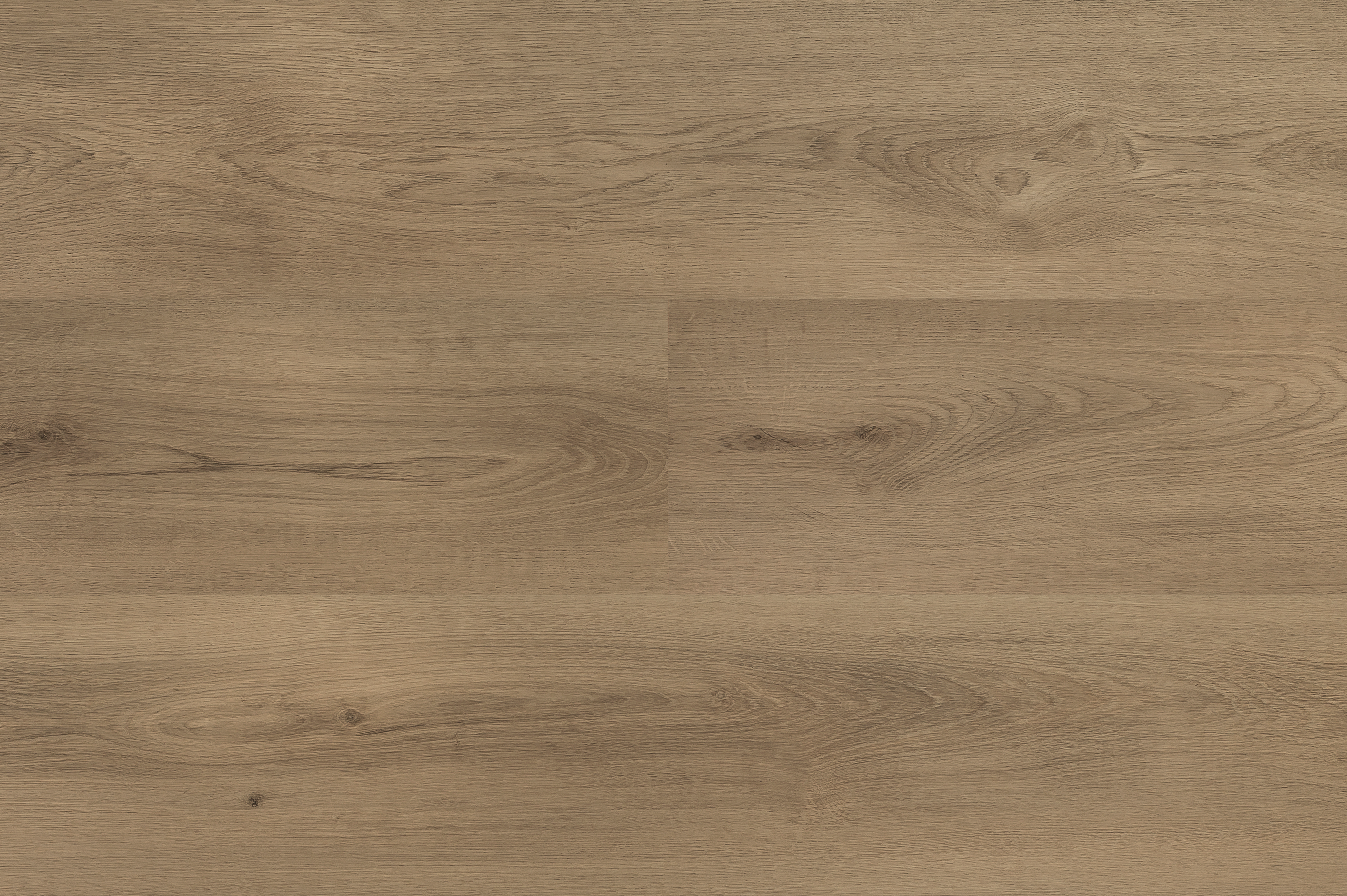 Hebeta 54825 Clermont collectie