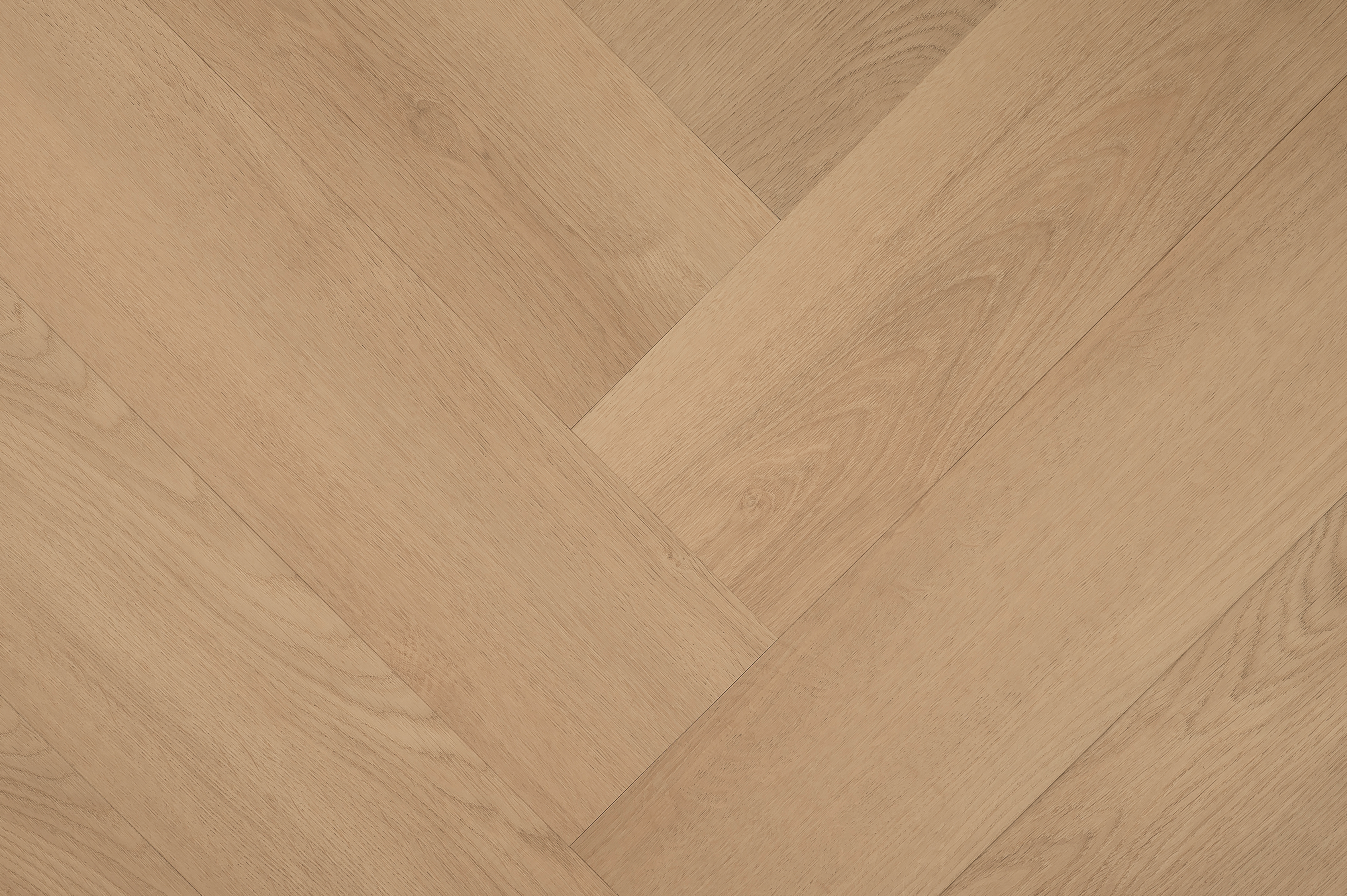 Hebeta 77821 Clermont collectie