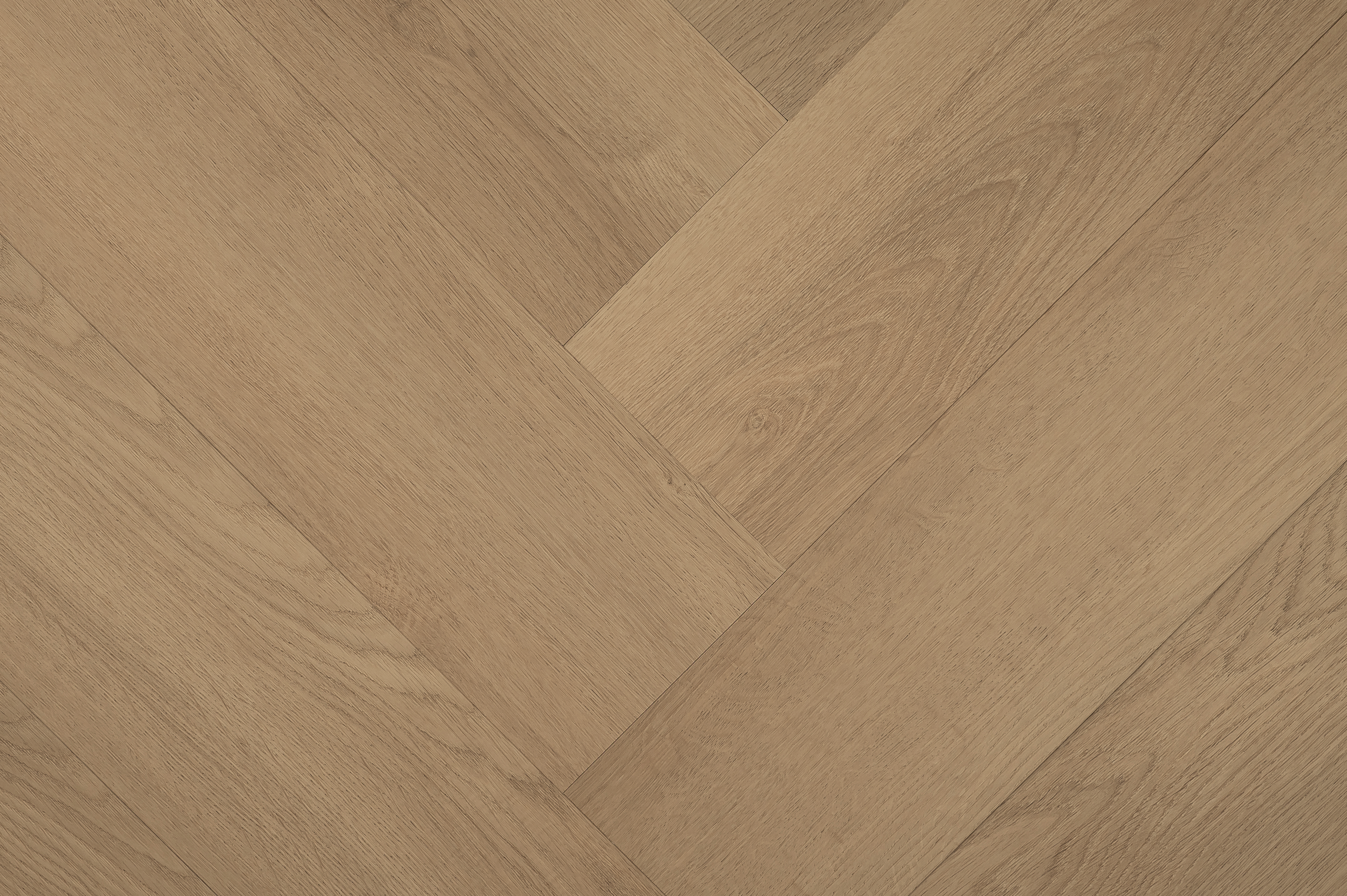 Hebeta 77822 Clermont collectie