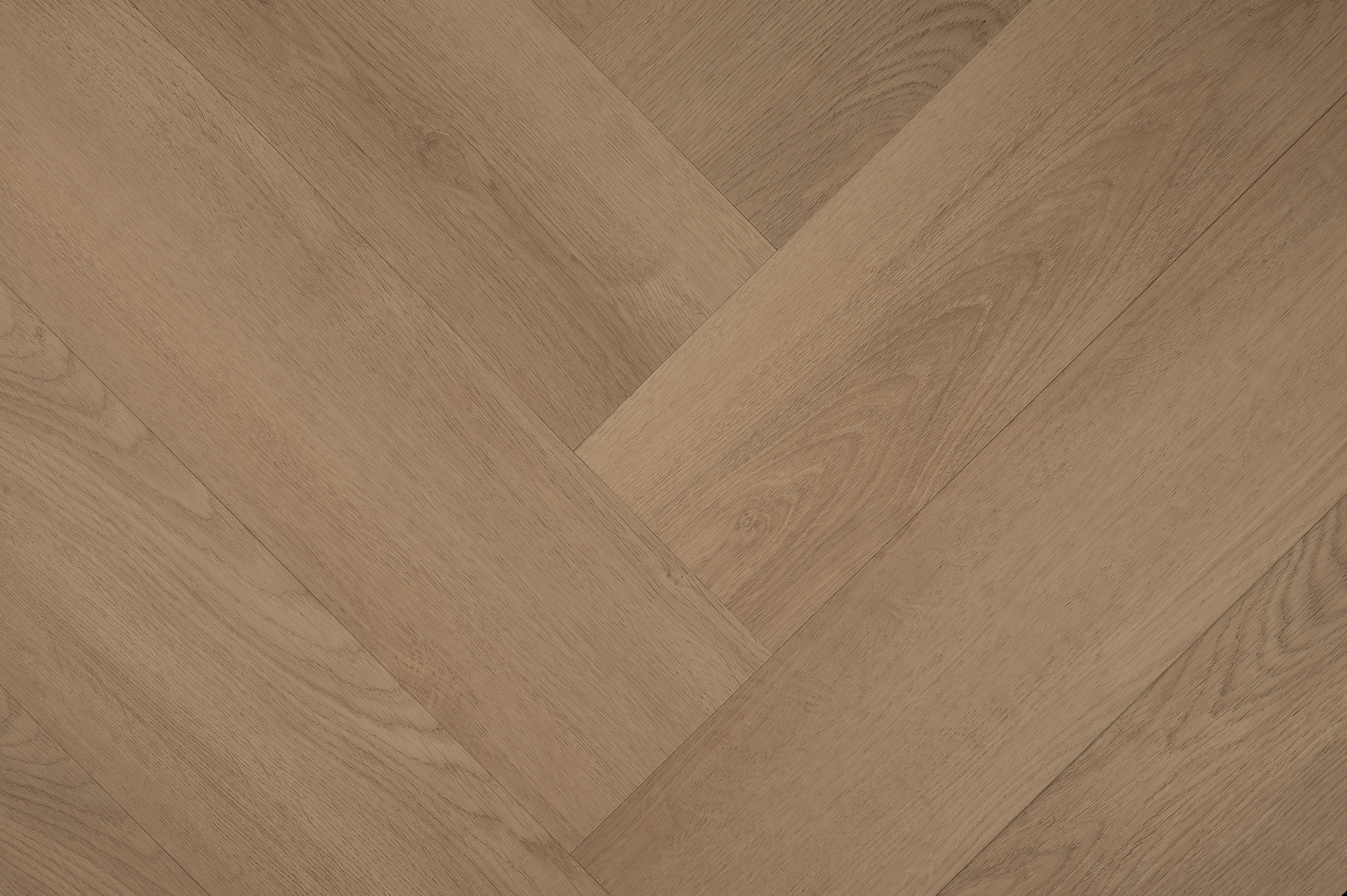 Hebeta 77824 Clermont collectie