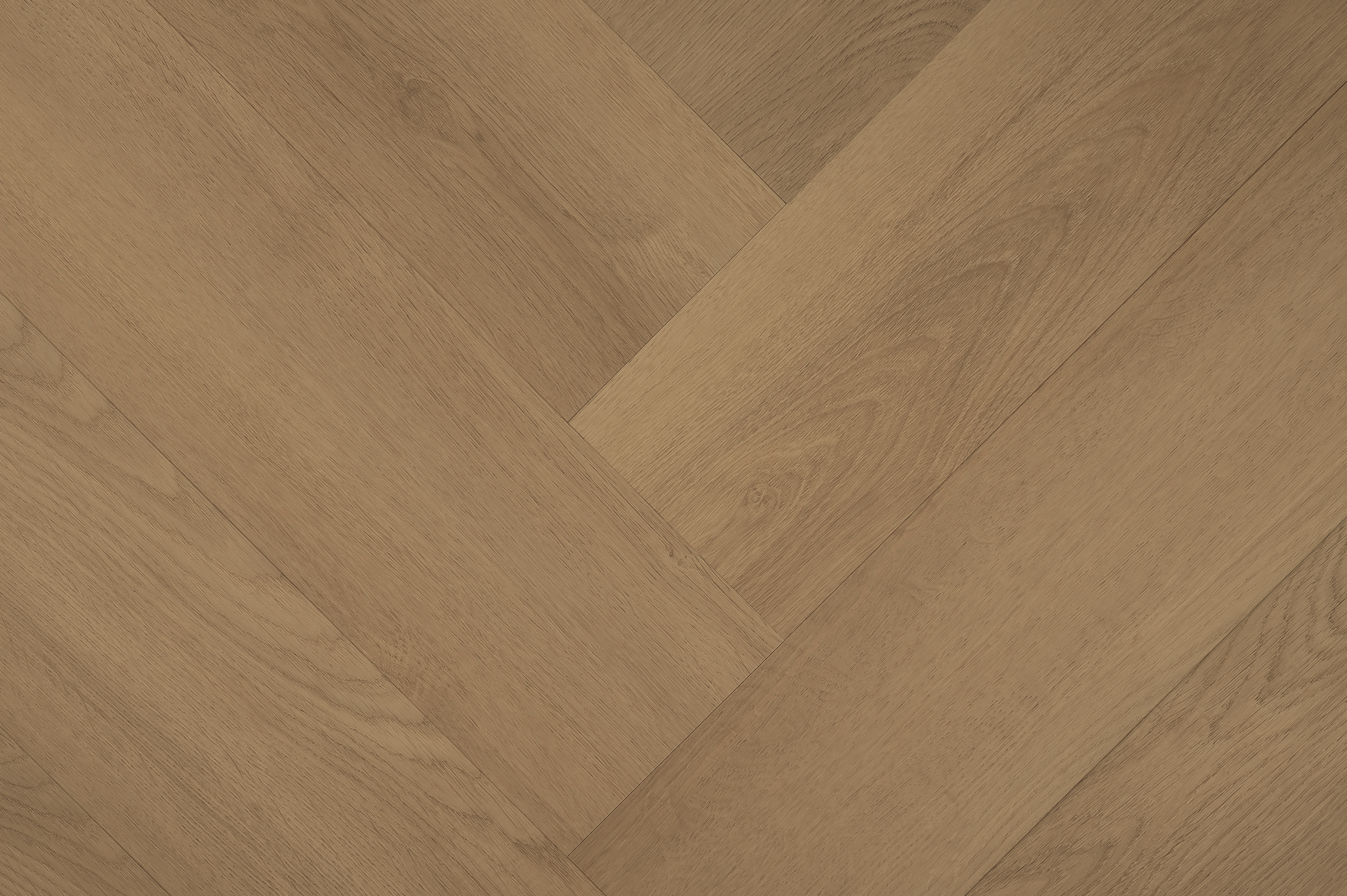 Hebeta 77825 Clermont collectie