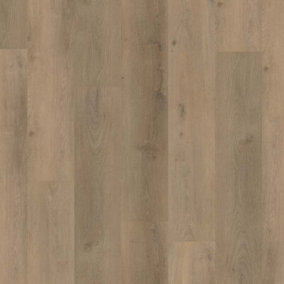 Country 4303 Prestige Oak Sand