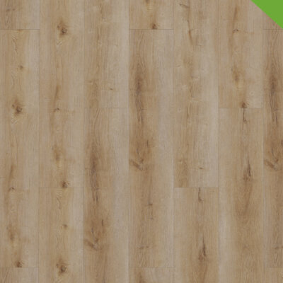 Dynamic Dryback 2501 Natural Smoked