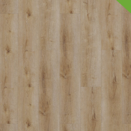 Dynamic - 2501 nieuw Dynamic Rigid Click 3501 Natural Smoked