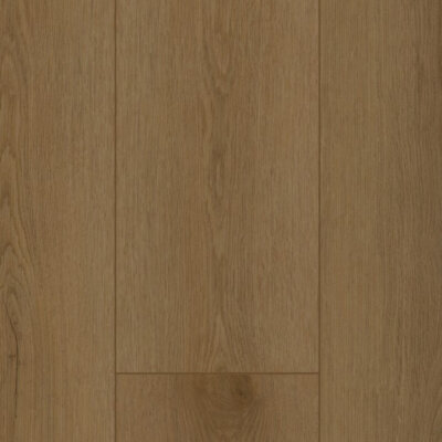 Firmfit Dryback 6503 Sierra Brown