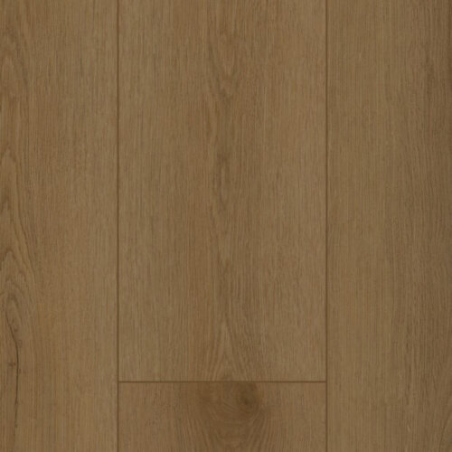 Firmfit Silent 7503 Firmfit Silent Rigid Click 7503 Sierra Brown