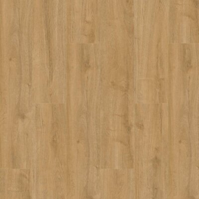 Oakland Dryback 6101 Natural