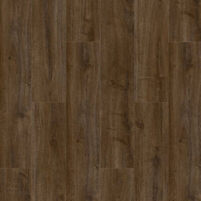 Oakland Dryback 6103 coffee