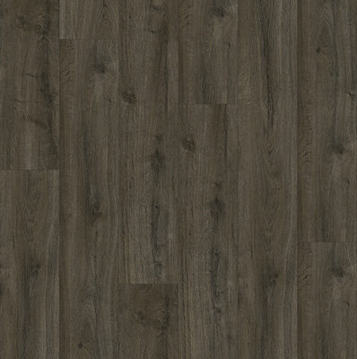 Oakland Dryback 6106 Soil