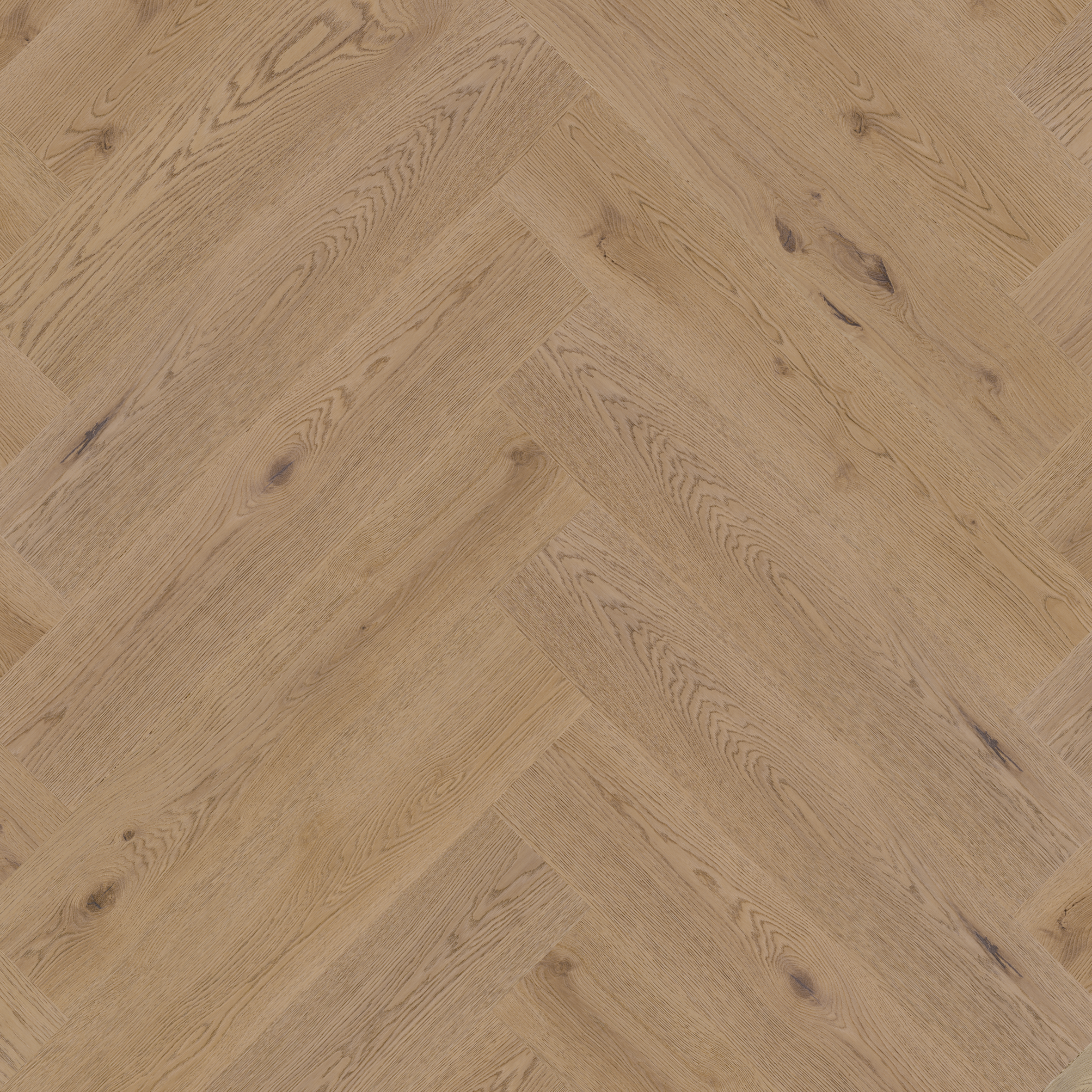 Therdex 7562 Authentic serie