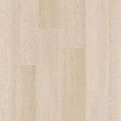 Therdex 15081 Premier serie