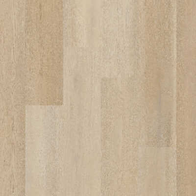 Therdex 15082 Premier serie