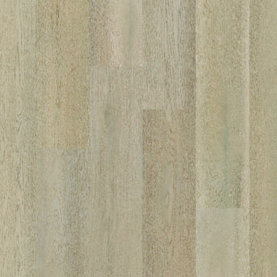 Therdex 15083 Premier serie