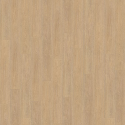 Belakos PVC Terreno_610