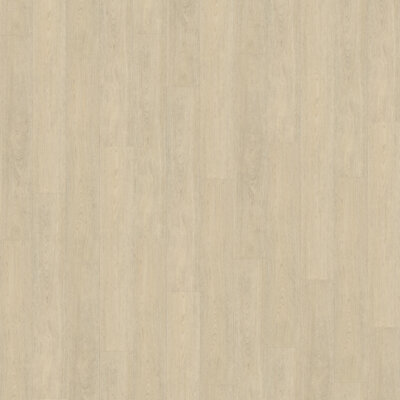 Belakos PVC Terreno_620