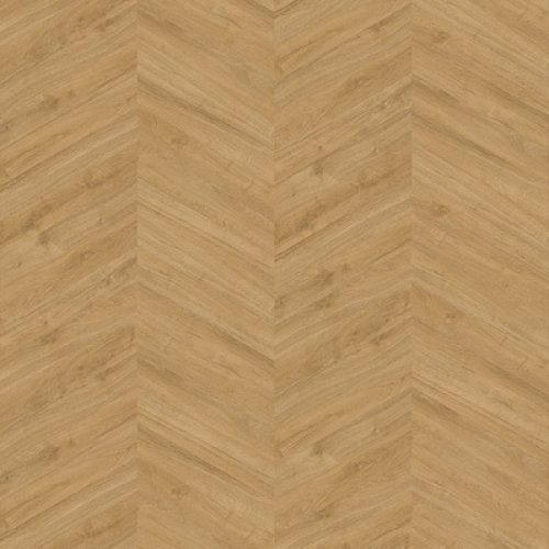 OaklandSpecial_3701_hongaars